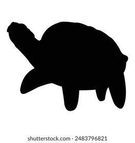 turtle silhouette vector design. black and white.