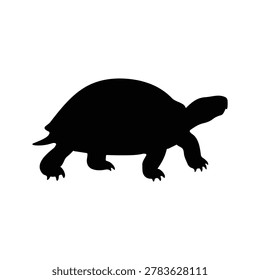 Turtle silhouette vector flat design on white background.

