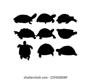 Turtle silhouette vector graphic illustration