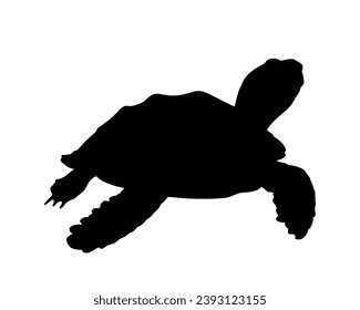Turtle Silhouette. Turtle Vector Illustration.