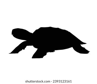 Turtle Silhouette. Turtle Vector Illustration.