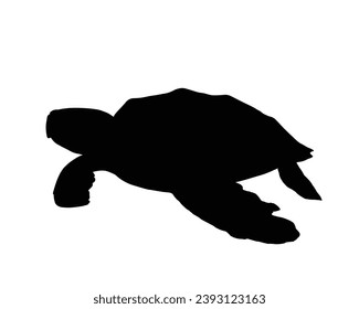 Turtle Silhouette. Turtle Vector Illustration.