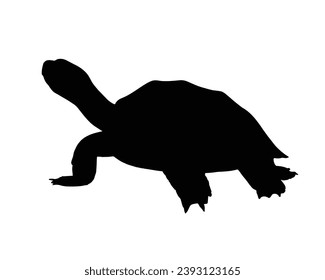 Turtle Silhouette. Turtle Vector Illustration.