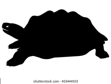 Turtle Silhouette Vector Illustration Stock Vector (Royalty Free ...