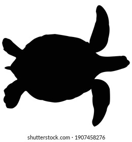 turtle silhoutte icon draw shadow perfect