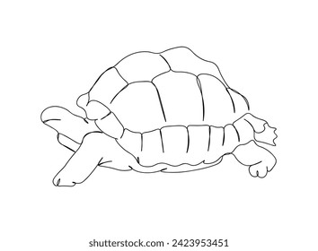 Turtle Single Line Art Drawing
