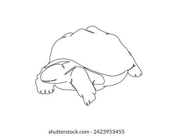 Turtle Single Line Art Drawing