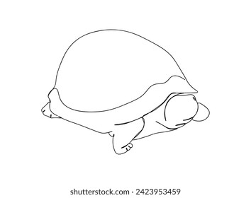 Turtle Single Line Art Drawing