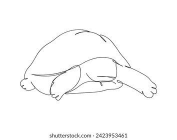 Turtle Single Line Art Drawing