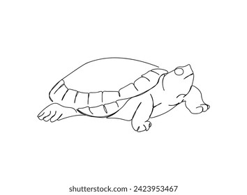 Einzelne Schildkrötenkunst-Zeichnung