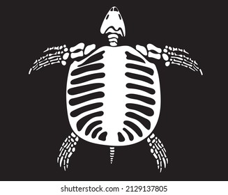 Turtle skeleton in isolate on black 
background. Vector illustration.