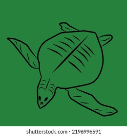 Turtle sketch In green art work