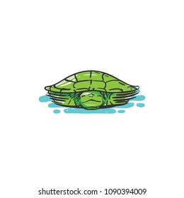 turtle sketch illustration