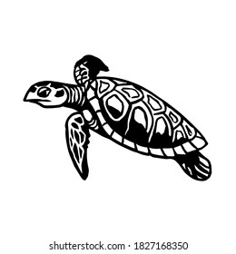 Turtle sketch style. Sea animal vector vintage illustration