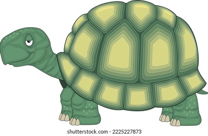 Turtle Smiling Cartoon Vector Illustration