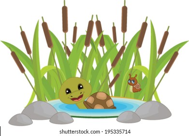 Turtle And Snail At Pond