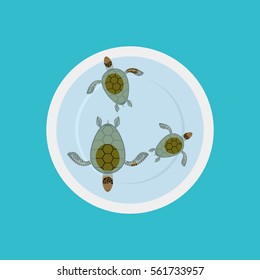 Turtle soup isolated. Delicatessen food on blue background. Sea animals on plate 
