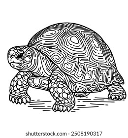 A turtle is standing on the ground with its head down. The turtle is black and white