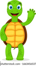 Turtle stands on its hind legs and waves affably. Character on a white background.