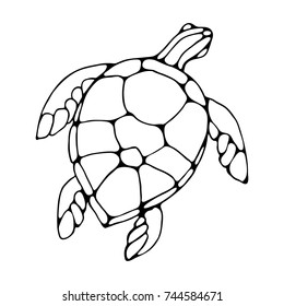 Turtle in the style of hand drawing. Vector image isolated on white.
