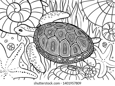 Turtle swim, coloring page with shells, starfish and seaweed