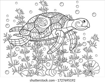 Adult Coloring Pages Turtles Images Stock Photos Vectors Shutterstock