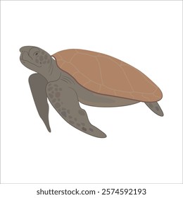 Turtle swimming cartoon, marine mammals animal