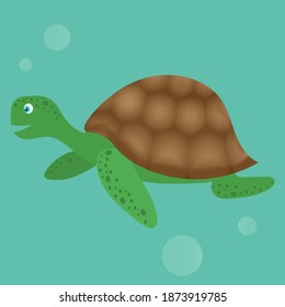 The turtle swimming in the ocean
