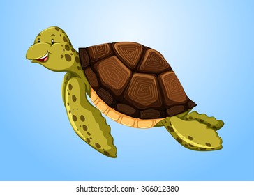 Turtle swimming in ocean illustration