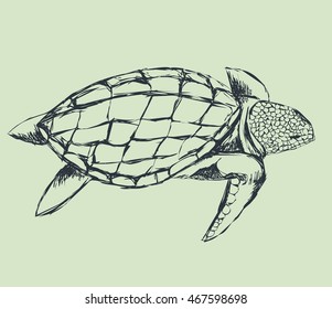 turtle swimming. rough outline. hand drawing, line sketch. vector illustration