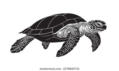 A turtle is swimming in the water