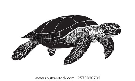 A turtle is swimming in the water