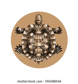 turtle top view, carapace, crawling, sketch, vector, black-and-white pattern on a brown background circle
