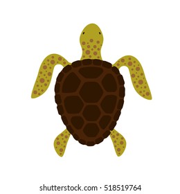 1,537 Tortoise Top View Images, Stock Photos & Vectors | Shutterstock