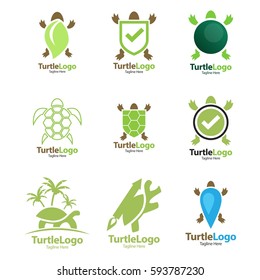 Turtle, Tortoise, Element concept logo