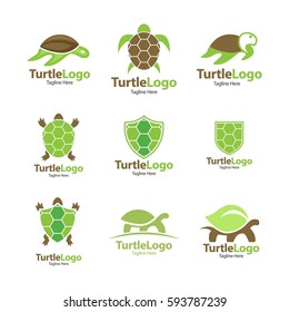 Turtle, Tortoise, Element concept logo