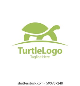 Turtle, Tortoise, Element concept logo