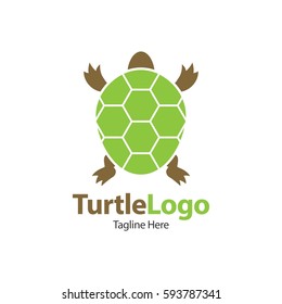 Turtle, Tortoise, Element concept logo