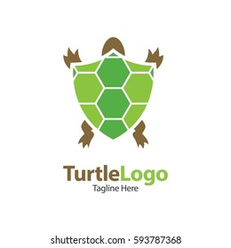 Turtle, Tortoise, Element concept logo