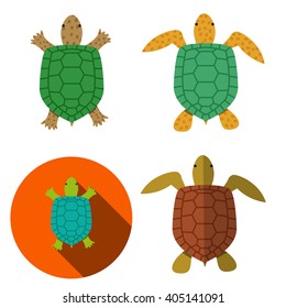 Turtle and tortoise in flat cartoon style, vector