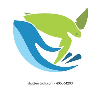 turtle tortoise hand animal nautical fauna marine life aquatic