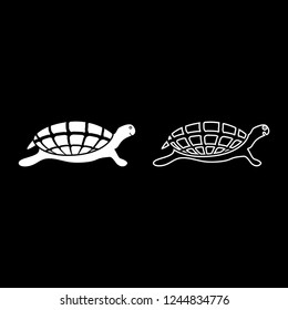 Turtle tortoise icon outline set white color