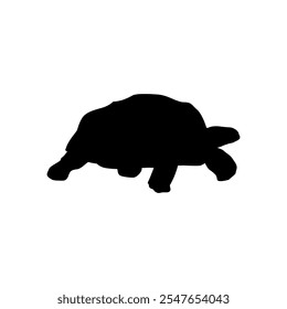 Turtle, tortoise icon vector sign