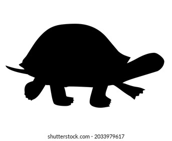 Turtle, tortoise, reptile, amphibian, animal, wildlife, vector, illustration, in black and white color, isolated on white background