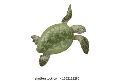 Turtle tortoise Sea Creature vector Illustration on white Background