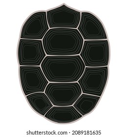 Turtle and tortoise shell, sulcata, indian star, aldabra, galapagos tortoise shell, turtle shell Vector illustration in white background. 