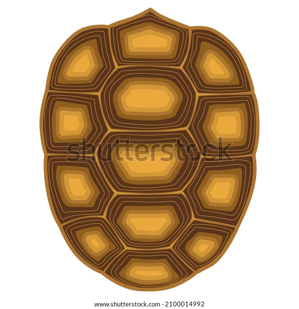 2 468 701件の 甲羅 の画像 写真素材 ベクター画像 Shutterstock