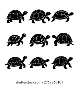 Schildkröte und Schildkröte Silhouette Icons Set - Vektorgrafik von Reptilienschalenmustern und Posen