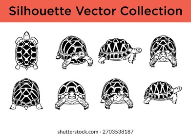 Turtle and Tortoise Silhouette Vector Collection