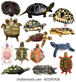 Turtle Tortoise Terrapin set colorful low poly designs isolated on white background. Vector animals illustration. Collection in a modern style.